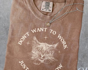 Comfort Colors® Lustiges Kätzchen 90er Jahre Vintage Stil Tshirt, Retro Y2k Katzen Humor Shirt, Katzenliebhaber Shirt, Kätzchen Gag Shirt, Übergroße Shirts