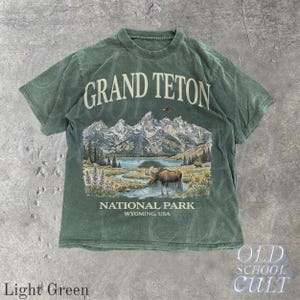 Grand Teton National Park Vintage jaren 90 grafisch T-shirt, retro Comfort Colors® Wyoming Mountain Lake USA nostalgia Moose uniseks T-shirt Light Green