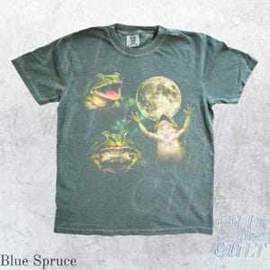 Frog Moon Vintage Graphic T Shirt, Retro Amphibian Nature Tee, Cottagecore Gift Blue Spruce