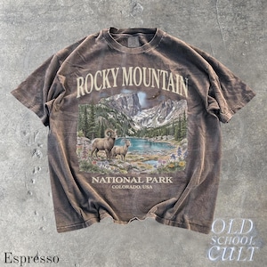 Rocky Mountain National Park Vintage 90s Graphic T-Shirt, Retro Comfort Colors® Colorado USA Nostalgia Unisex Tee Espresso