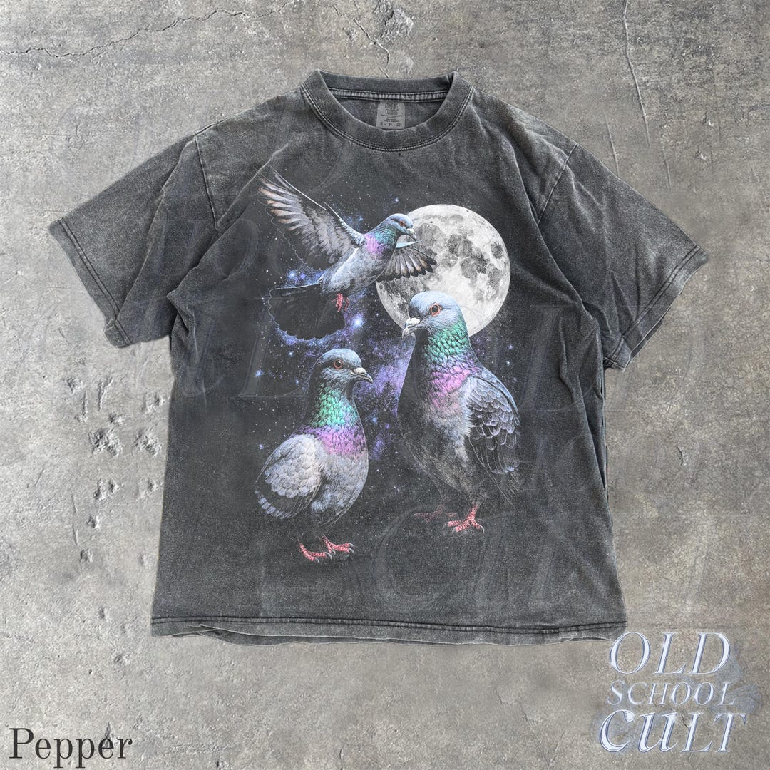Three Pigeon Retro Graphic T-shirts, Vintage Pigeon Moon Tshirt, Bird Watching Lovers, Fun