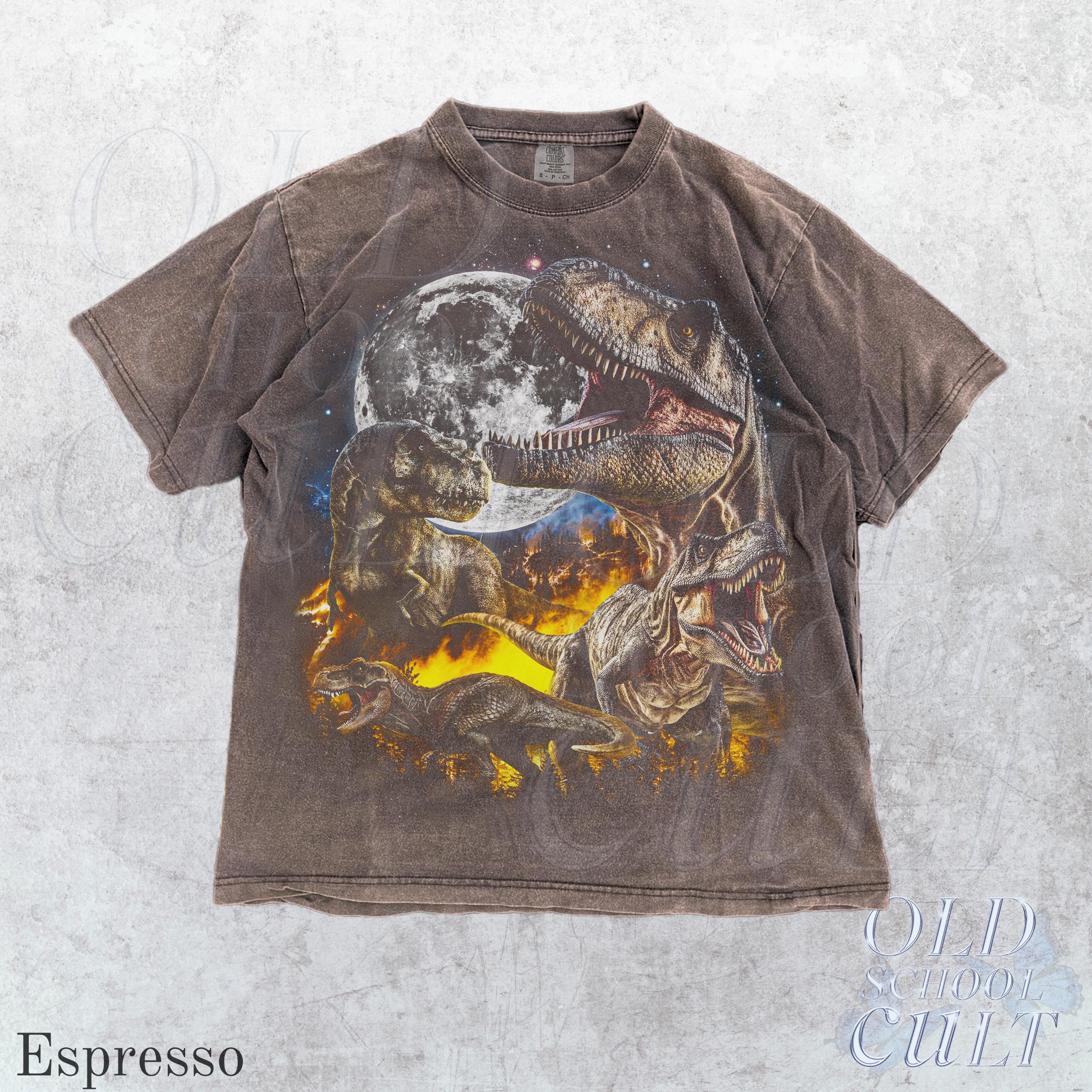 T-rex Dinosaur Vintage 90s Style Graphic Shirt, Dinosaur Graphic