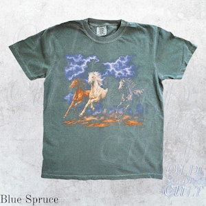 May include: Blue spruce-colored t-shirt featuring a graphic of three running horses with a stormy sky backdrop. The horses are in shades of brown, white, and black. The shirt has a crew neck and short sleeves. The text "Blue Spruce" is at the bottom.