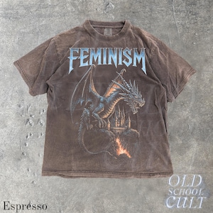 May include: Espresso-colored t-shirt featuring the word "FEMINISM" in a stylized font above a detailed illustration of a dragon perched in front of a castle. The dragon is blue and the castle is a light tan color. The shirt has a vintage look.
