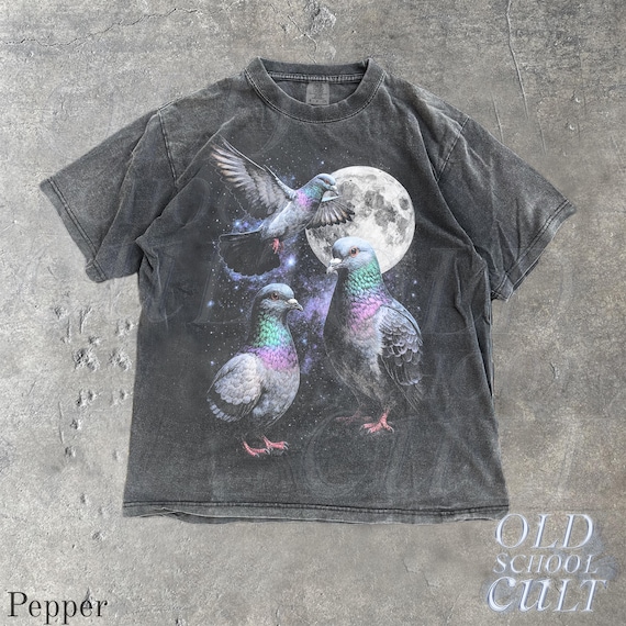 Three Pigeon Retro Graphic T-shirts, Vintage Pigeon Moon Tshirt, Bird Watching Lovers, Funny Brid Tee, Oversized Washed Tee, Silly Gift