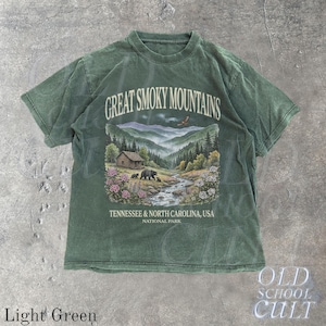 Great Smoky Mountains National Park Vintage 90er Jahre Grafik-Shirt, Retro Comfort Colors®Mountain Cabin Bear USA Nostalgie Unisex T-Shirt Light Green