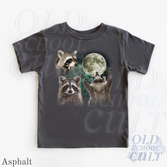 Raccoon Kids T-Shirt, Cute Raccoon Moon Graphic Tee, Woodland Animal Youth Shirt, Toddler Forest Animal Top, Night Kids Gift