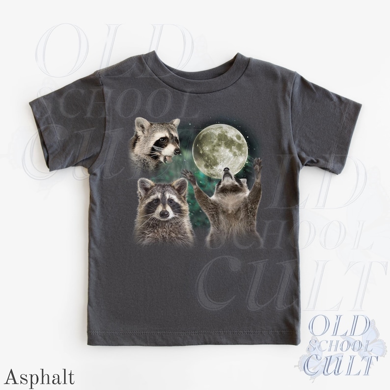 Raccoon Kids T-Shirt, Cute Raccoon Moon Graphic Tee, Woodland Animal Youth Shirt, Toddler Forest Animal Top, Night Kids Gift Asphalt