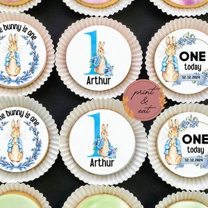 Alter 1-9 essbare vorgeschnittene personalisierte blaue Häschen-Geburtstags-Kuchendeckel | Essbare Icing Blue Bunny Toppers | Essbare Blue Bunny Cake Toppers