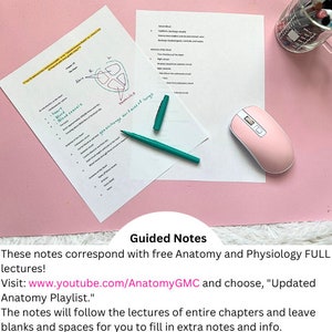 May include: A set of guided notes for an anatomy and physiology course. The notes include a diagram of the heart with labels for the ventricles, atria, and aorta. The notes also include a reminder to visit the YouTube channel AnatomyGMC for more information.