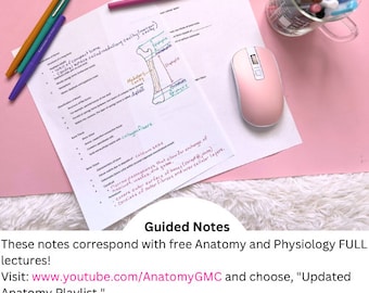 Anatomy and Physiology 2 Bundle of Guided Notes