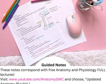 Axial Skeleton Chapter 7 Anatomy and Physiology Guided Notes