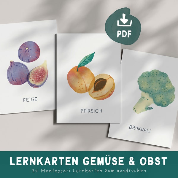 Lernkarten Gemüse & Obst | Montessori Karten zum ausdrucken | Spielerisch Lernen | Digitaler Download