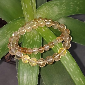 Puede incluir: Un brazalete de doble cadena hecho de cuentas de piedras preciosas translúcidas de color marrón claro. El brazalete está sobre una planta verde con manchas blancas.