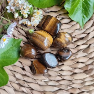 Peut inclure: Une collection de six pierres roulées en œil de tigre, chacune avec un motif unique de rayures brunes, dorées et noires. Les pierres sont disposées sur une surface en osier tressé avec des feuilles vertes et des fleurs blanches.