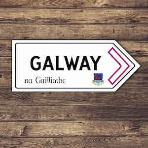 ゴールウェイ アイルランド郡道路標識 GAA アイルランド ヘリテージ アロー RRI22