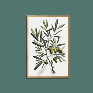 Olive Branch Print, Botanical Wall Art, Olive Branch Wall Art, Modern Minimalist Poster, Greenery Art, Farmhouse Decor, Printable Wall Art