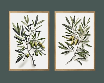 Botanischer Druck 2er Set, Olivenzweig Druck, 2 Stück Wandkunst, moderne minimalistische Poster, grüne Kunst, Bauernhaus Dekor, druckbare Wandkunst