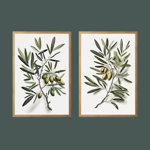 Botanical Print Set Of 2, Olive Branch Print, 2 Piece Wall Art, Modern Minimalist Poster, Green Art, Farmhouse Decor, Printable Wall Art