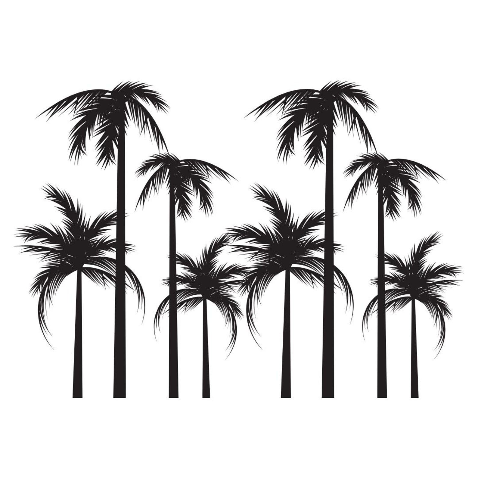 Tropical Palm Tree Silhouette | Digital Download for Creative Projects ...