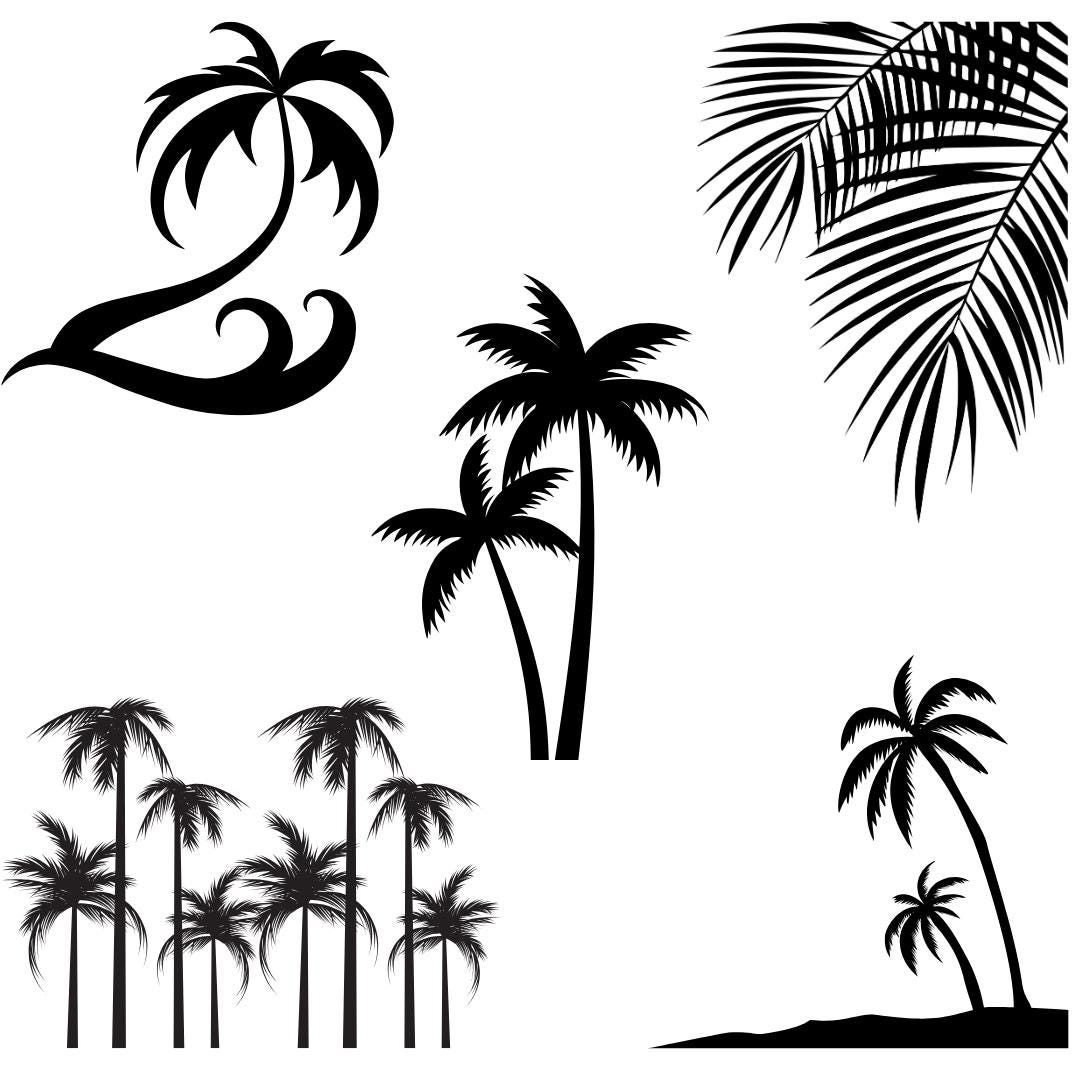 Tropical Palm Tree Silhouette | Digital Download for Creative Projects ...