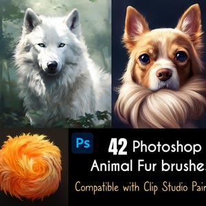 Photoshop Fur brushes. 42 Animal Fur Brushes and Texture skin - Clip studio Paint Fur brushes - Animal Fur Texture Brush Stamps