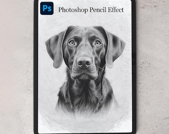 One Click Photoshop Pencil Filter - Photoshop Pencil Effect - Pencil Drawing Photo Effect