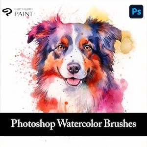 32 Photoshop-waterverfpenselen. Natte penselen voor Photoshop. Clip Studio Paint aquarel penselen. Clip Studio Natte verfkwasten