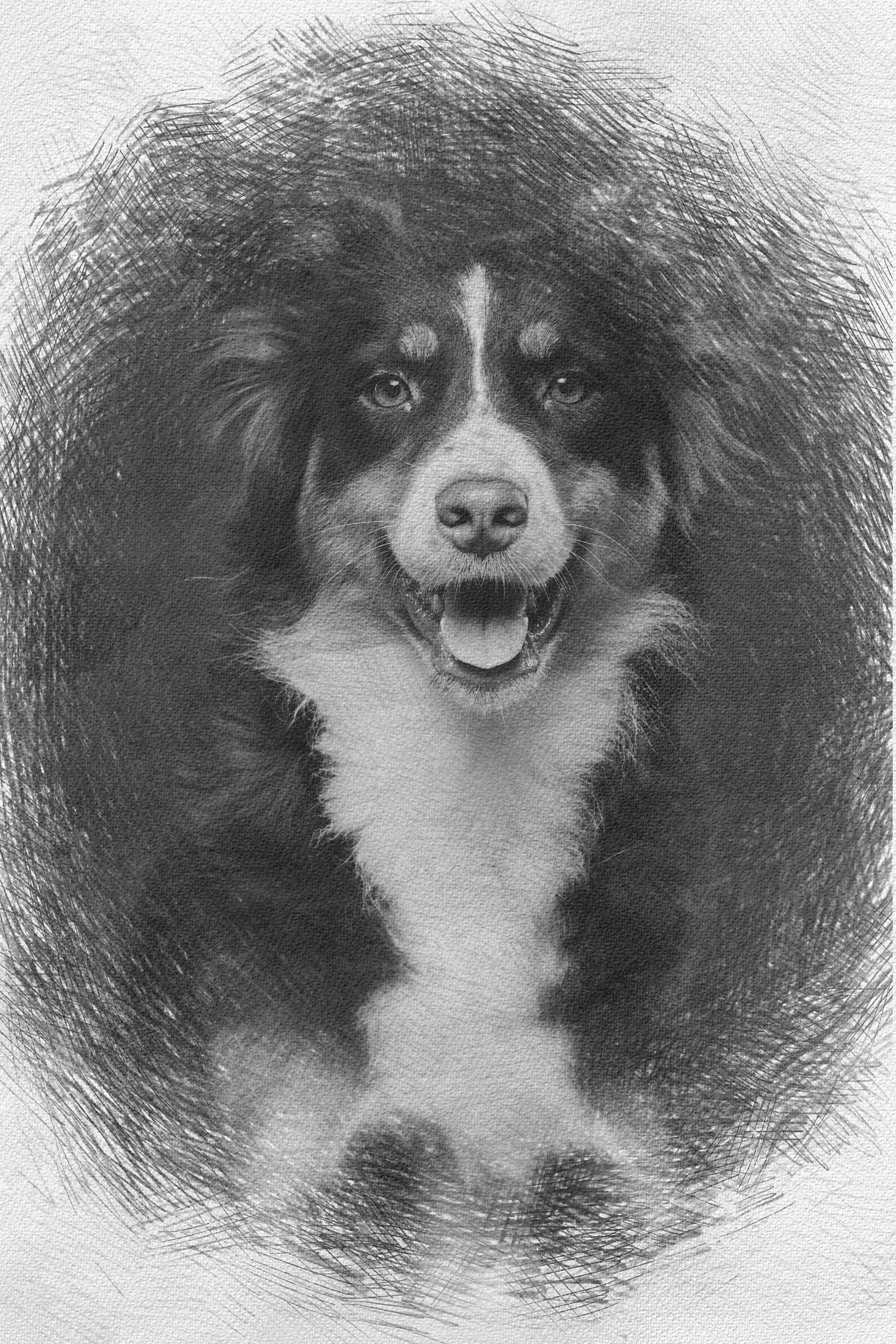 Pencil Effect Pencil Drawing Filters Photo Pencil