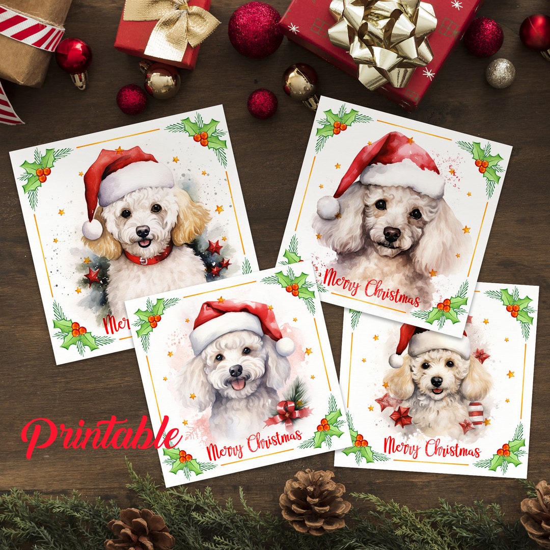 Printable Poodle Dog Christmas Cards Christmas Card Set - Etsy