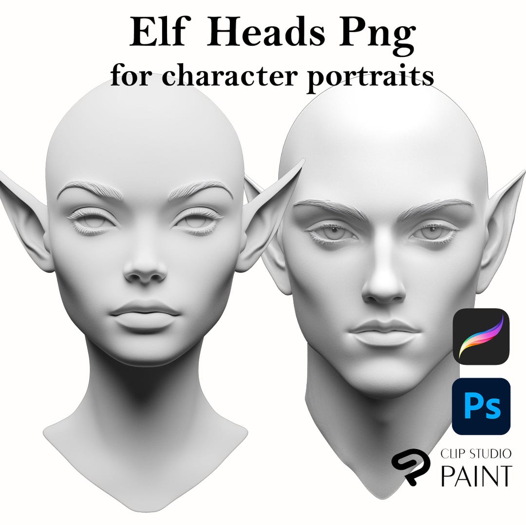 Elf Head Rotation Realistic Head Pngs. Elf 3D Head Pngs for Procreate Portraits - Adobe ...