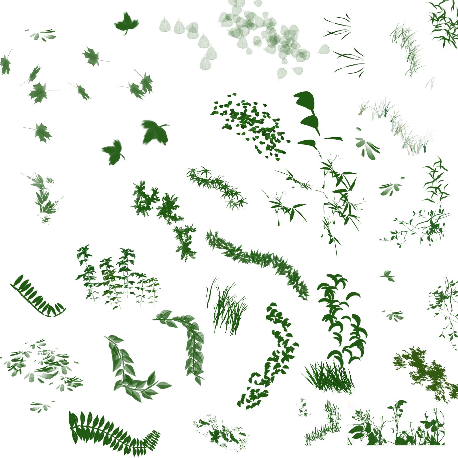 Brushes Grass, Foliage Brush Grass