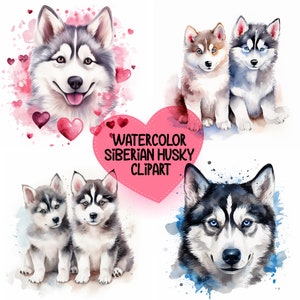 Watercolor Siberian Husky Clipart - Cute Siberian Husky Pack Clipart - PNG - Full Commercial Use - Kawaii Husky Clipart - Instant Download