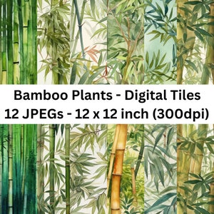 Puede incluir: Doce azulejos digitales con ilustraciones de acuarela de plantas de bambú. Cada azulejo mide 30,48 cm por 30,48 cm y 300 dpi. Los azulejos presentan tallos de bambú verdes y amarillos con hojas verdes.