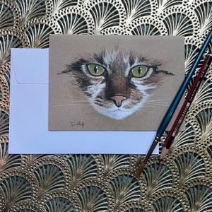 Tabby Cat