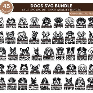 Perro asomando SVG PNG/ Clipart de perro asomando/ Archivos svg de perro asomando para Cricut/ Silueta de perro asomando Svg/ Paquete láser/ Amante completo de los perros