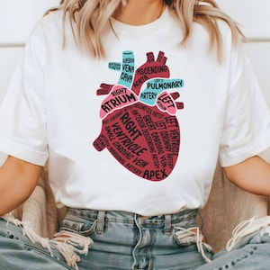 Herz PNG | Anatomisches Herz Design | Herz Intensiv Krankenschwester Png | Kardiologie Krankenschwester Png | Sonographers png| Herzschlag Png | Kardiologie Png
