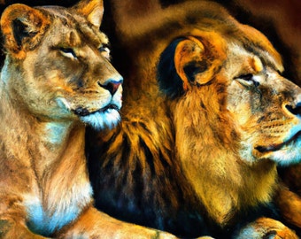 Lion and Lioness wall art print