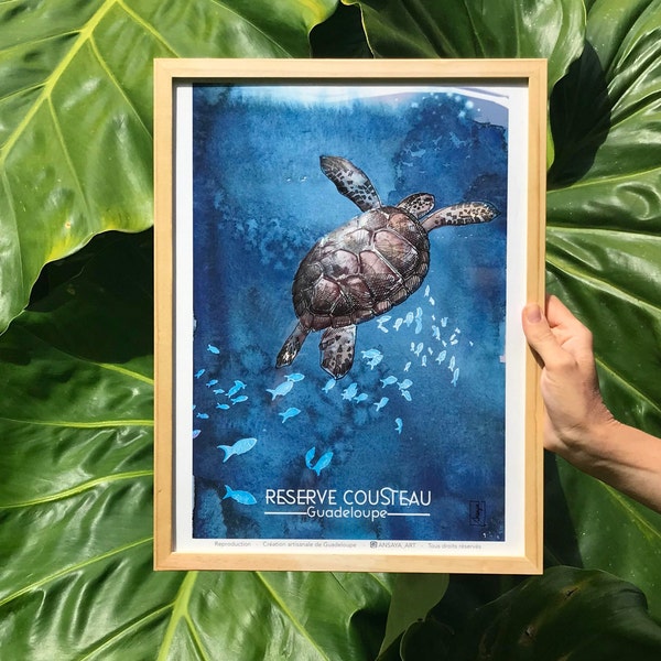 Affiche Tortue de Guadeloupe à l'Aquarelle