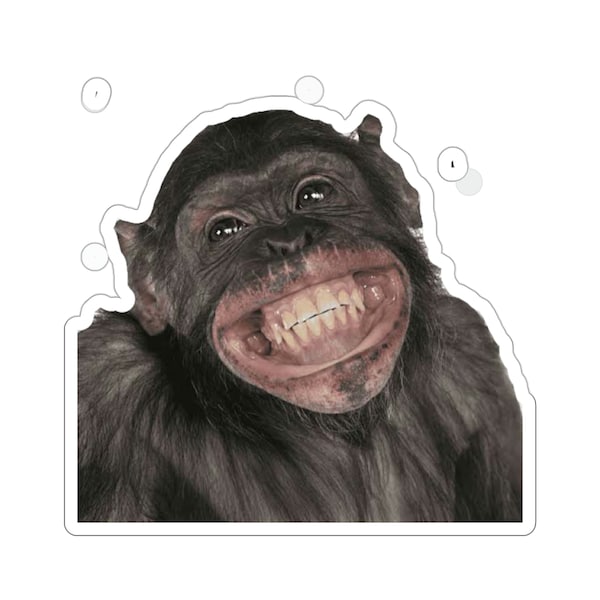 Monkey Laptop Decal - Etsy