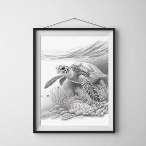 May include: A black and white pencil drawing of a sea turtle swimming in the ocean. The turtle is surrounded by coral and other marine life. The drawing is framed in a black frame.