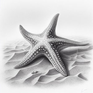 Hyper-Realistic Pencil Sketch of a Cayman Islands Starfish