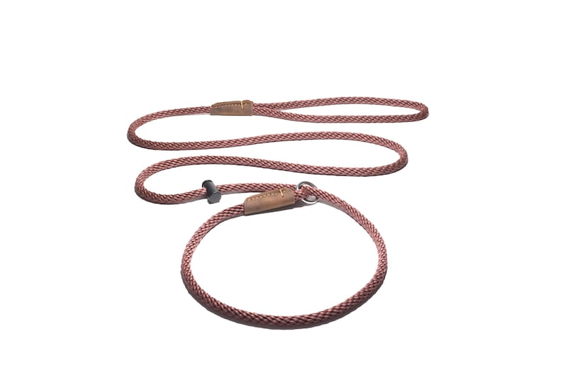 Slip lead/PREMIUM/professional dog training leash/8mm PP rope with the push button snug stopper and hand-stitched leather binding/4-6-8 Feet Brown