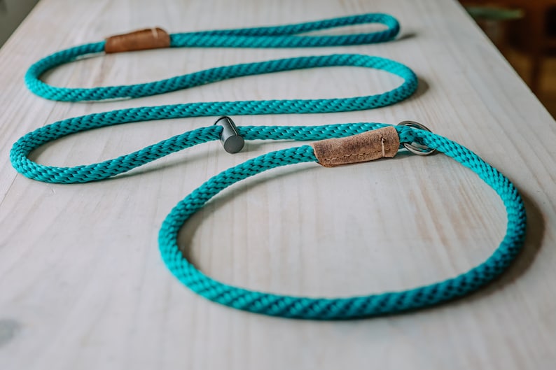 May include: A turquoise blue rope dog leash with brown leather accents and a silver metal ring.