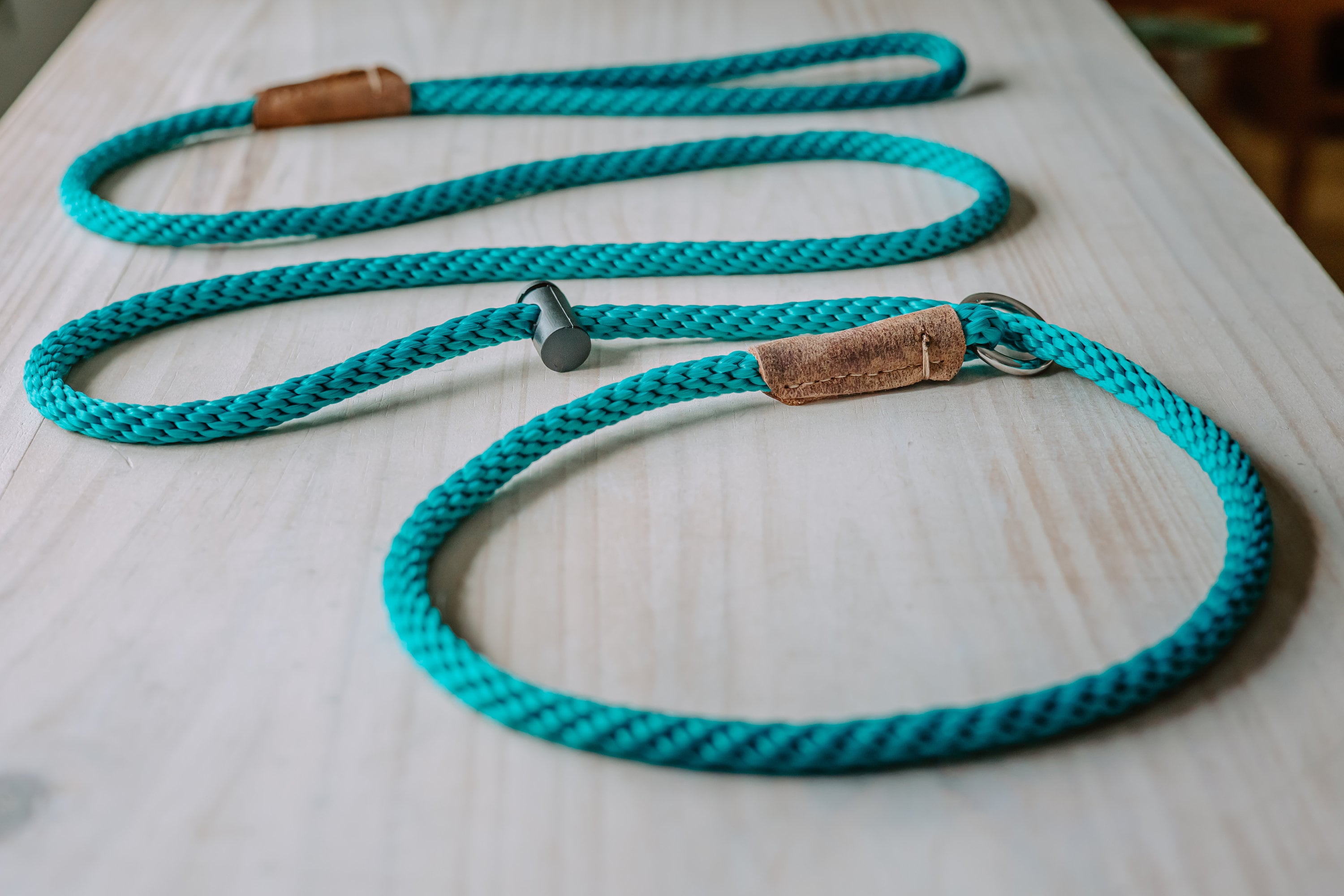 Slip Lead/premium/professional Dog Training Leash/8mm PP Rope Etsy