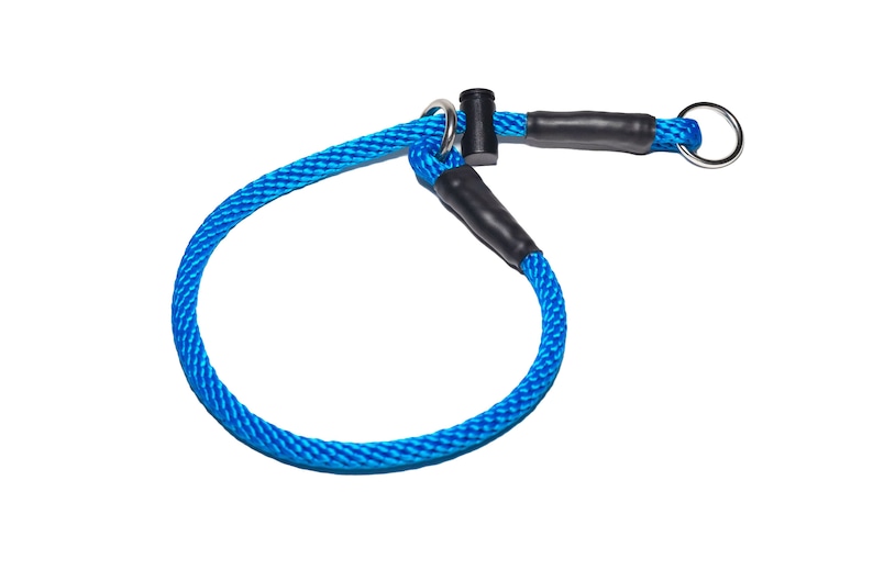 May include: A blue rope dog collar with a black nylon loop and a silver metal ring.