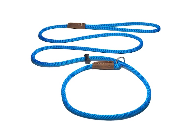 Slip lead/PREMIUM/professional dog training leash/8mm PP rope with the push button snug stopper and hand-stitched leather binding/4-6-8 Feet Blue