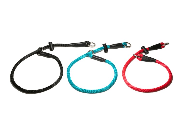 Slip Collar/pro Training Collar/choke Collar/dominant Dog Etsy