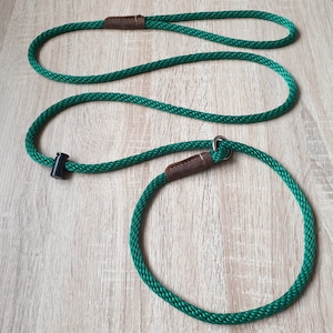 May include: A green rope dog leash with a brown leather handle and a metal ring. The leash is made of a thick, durable rope and is perfect for walking dogs of all sizes.