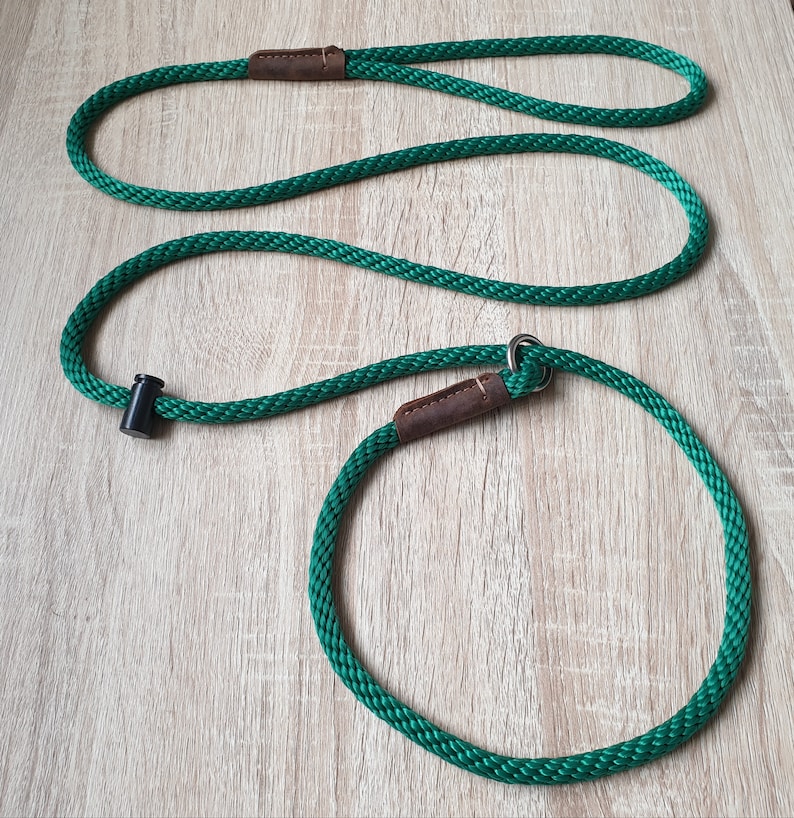 May include: A green rope dog leash with a brown leather handle and a metal ring. The leash is made of a thick, durable rope and is perfect for walking dogs of all sizes.